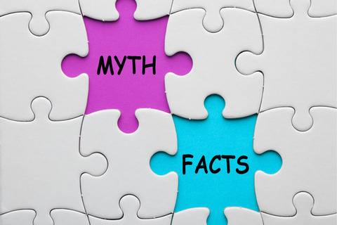 there are 8 puzzle pieces. one is pink and says myth, one is blue and says facts and the rest are plain white